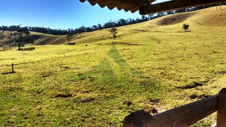 Imagem FAZENDA GADO NELORE COM 100 ALQUEIRES em Cambui MG