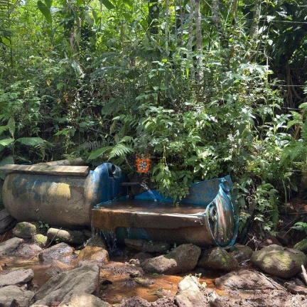 Imagem Área à venda, 13 alqueires paulista por R$ 5.300.000 - São Mateus - Camanducaia/MG