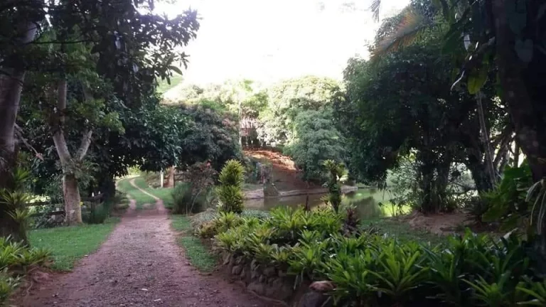 Imagem Imóvel