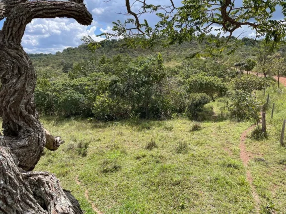 Imagem Fazenda à Venda – 117,3 Hectares em Luziânia-GO
