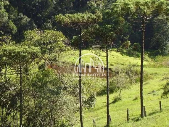 Imagem Sítio com 3 dormitórios à venda, 79000 m² por R$ 1.276.000,00 - Santa Clara - Jundiaí/SP