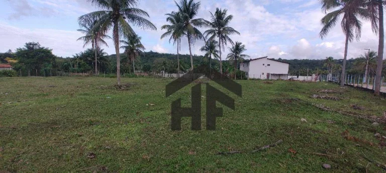 Imagem Terreno de 7.237m², à venda, totalmente cercado, localizado em Cruz de Rebouças, Igarassu - PE.