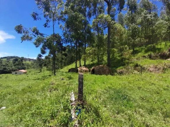 Imagem Fazenda à venda em Barbacena, Correia de Almeida, com 4 quartos, 53ha