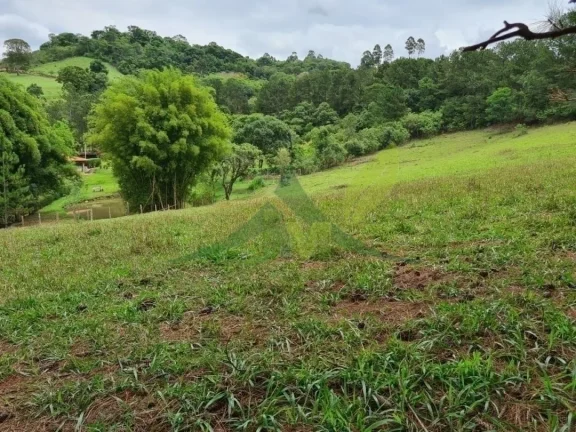 Imagem Lindo Sítio à Venda em Piracaia – 48.400 m² de Tradição e Beleza Natural