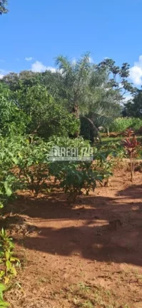 Imagem Chácara à venda próximo à Veríssimo!