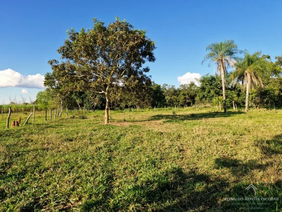 Imagem Chácara 7,8 hectares em Rochedo-MS