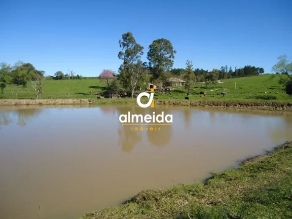 Imagem Chácara 3 dormitórios à venda Zona rural Restinga Seca/RS