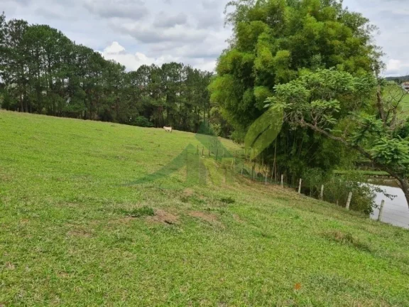 Imagem Lindo Sítio à Venda em Piracaia – 48.400 m² de Tradição e Beleza Natural
