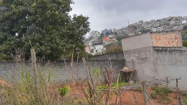 Imagem Lote à venda, no Loteamento Vale das Rosas, em Barbacena, Grogotó, 360m2