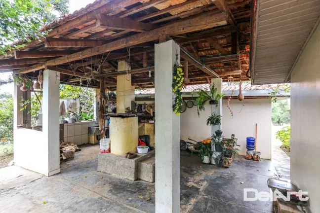 Imagem Sitio maravilhoso com 10,51 hectares - a 200m do Mercado 4 irmãos - Fazendinha - c/ Escritura e Registro - Rio Negro.