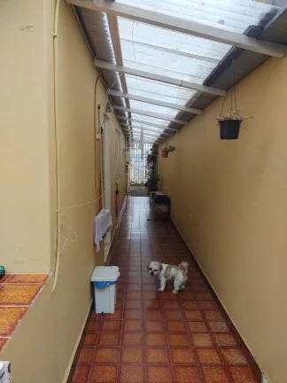 Imagem Sobrado no Jardim Bonfiglioli, ( Butantã) 3 dormitórios ( 1 Suíte), 2 vagas de garagem com portão automático. Edícula e Churrasqueira.