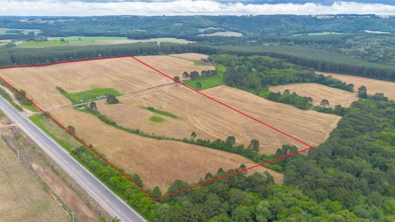 Área/terreno à venda na Lapa Paraná
