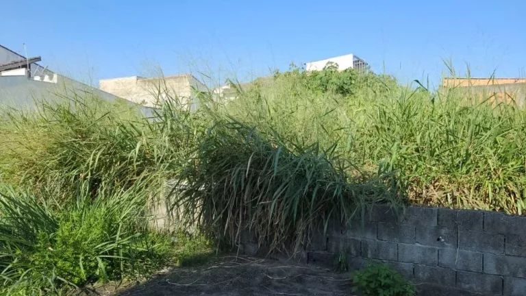 Imagem Terreno à venda, 175 m² por R$ 205.000,00 - Jardim Quaresmeira - Suzano/SP