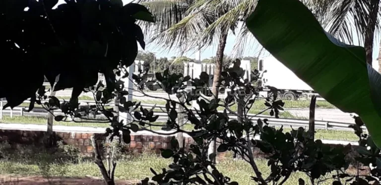 Imagem Chacara a venda em são josé de mipibu - BR 101