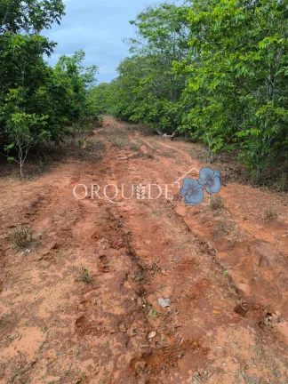 Imagem Fazenda à venda em Mineiros-GO: 150,00 alqueires na Área Rural de Mineiros