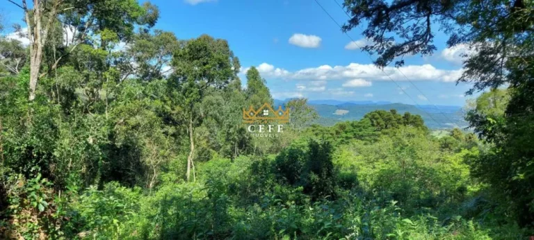 Imagem Chácara - Sítio com 3 Dormitorio(s) localizado(a) no bairro Recosta em São Francisco de Paula / RIO GRANDE DO SUL Ref.:1533
