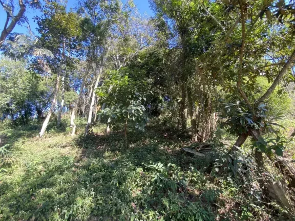 Imagem Terreno com 990 m2 no Bairro Boa Morte – Ideal para investimento ou grandes projetos
