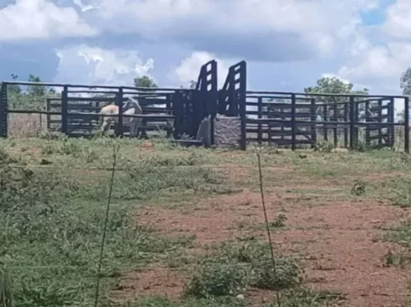 Imagem Fazenda 10 Alqueires à Venda em Luziânia, Goiás!