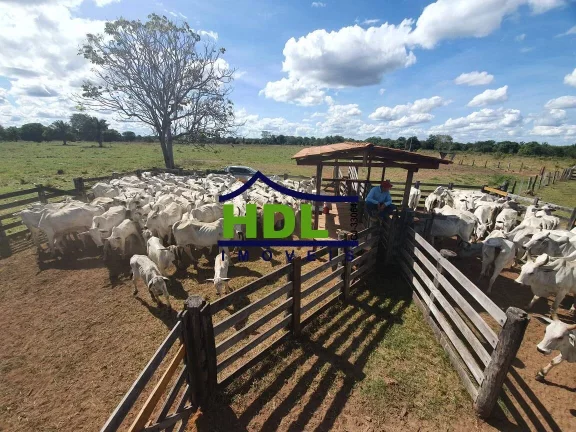 Imagem 110 Alqs Top em Cocalinho MT