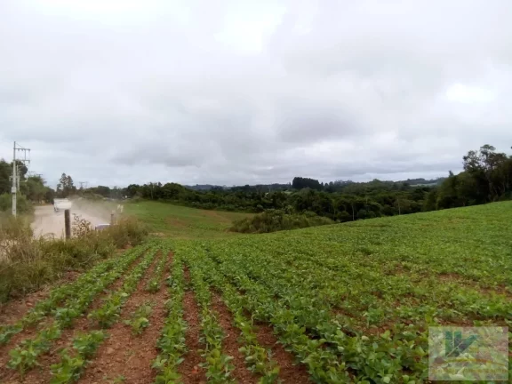 Imagem Terreno para Venda em São José dos Pinhais, Contenda, 1 dormitório