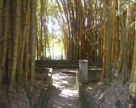 Imagem LINDO HARAS à VENDA, EM JUATUBA!