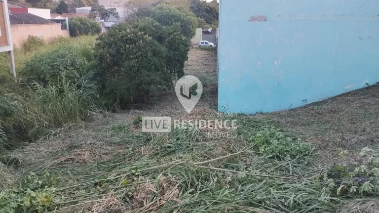 Imagem Avenida Marechal Castelo Branco e fundos