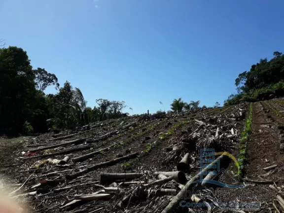 Terreno - Em rua, para Venda em São Francisco do Sul/SC