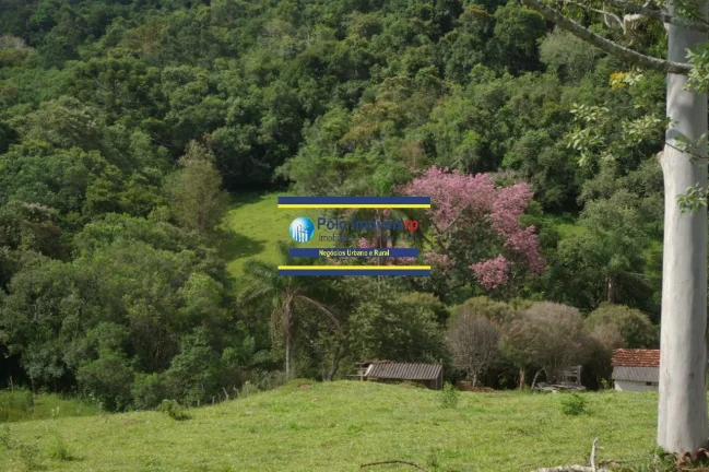 Imagem Sítio 14 alqueires com estrutura, casa, água e energia, R$ 90.000,00 valor do alqueire - Jacuí - Minas Gerais