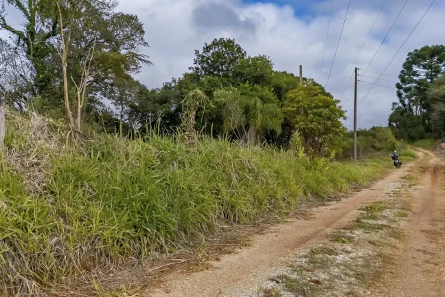 Imagem Chácara em Campo Magro com 24.200 m²