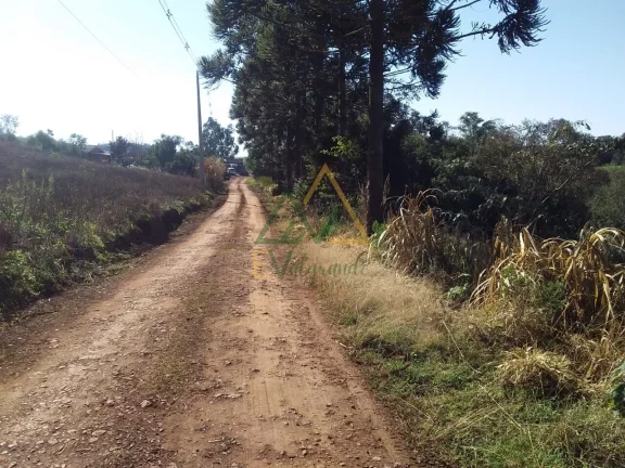 Imagem TERRENO CANTAGALO - PR