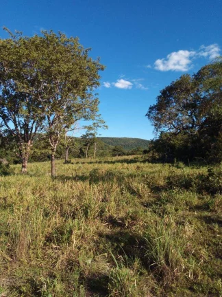 Imagem Fazenda à Venda em Faina - 237 Alqueires de Oportunidade!