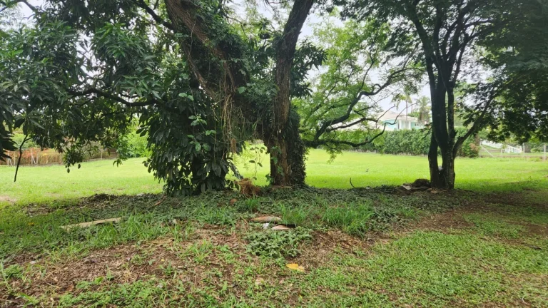 Imagem ? Lote de 3.070 m² no Condomínio City Castelo