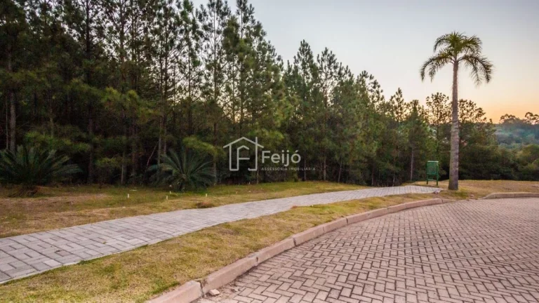 Imagem Lotes/Terrenos em Viamão próx. ao Centro