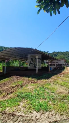 Imagem Propriedade Rural a venda em Guaripocaba dos Souzas, Bragança Paulista