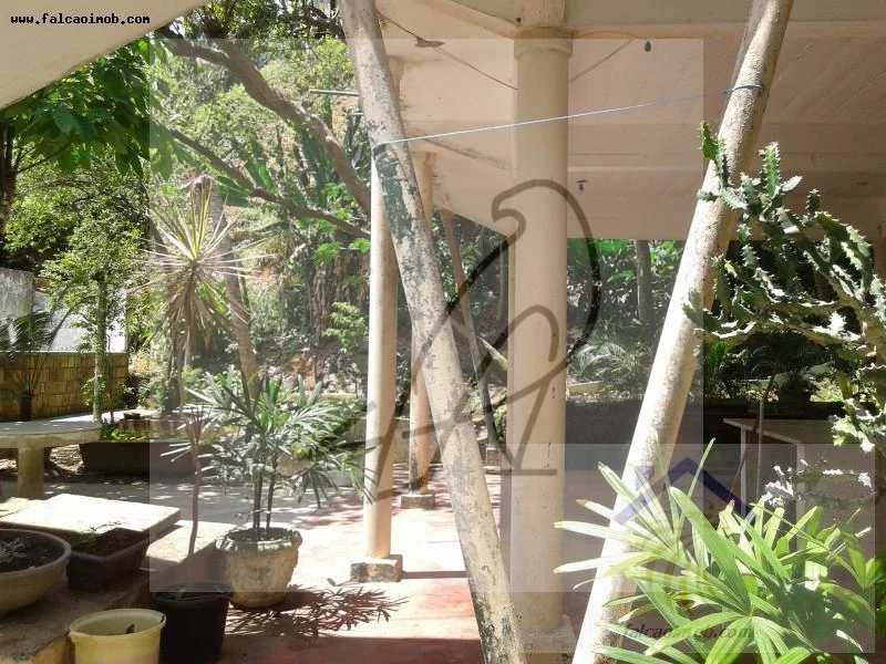 Imagem Vendo ponto comercial - Centro, Ilh?(C)us-BA