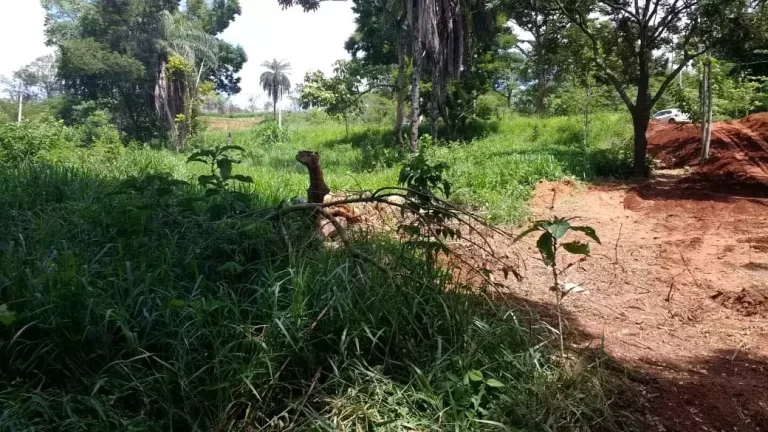 Imagem Lote à venda, Gran Royalle - LAGOA SANTA/MG