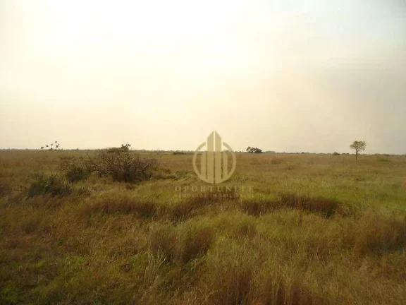 Imagem Fazenda no Pantanal