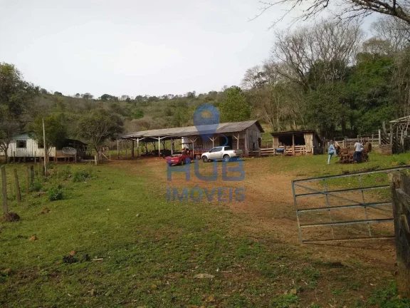 Imagem Fazenda com 2 dormitórios em Pinhal Grande - Laranjal
