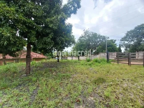 Terreno com Vista Espetacular para a Natureza – Ideal para Construir, com Topografia Levemente Inclinada e Área Verde Exuberante! Oportunidade Única!