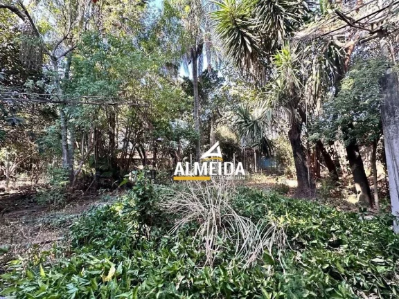 Imagem Chácara com 3 dormitórios à venda, 3618 m² por R$ 3.500.000,00 - Estádio - Rio Claro/SP