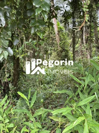 Imagem Terreno em Balneário Brandalize, Itapoá/SC