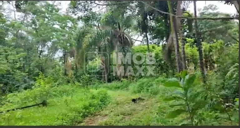 Imagem Chácara à Venda em Paranoá - DF250 - Fazenda Velha - 6,2 hectares - Escriturada e registrada.