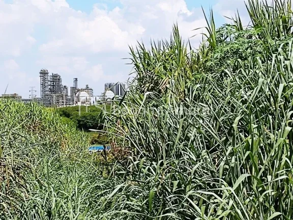 Imagem Venda, área industrial, bairro Bonfim, em Paulínia!
Zoneamento ZD 1 (zona de desenvolvimento indus...