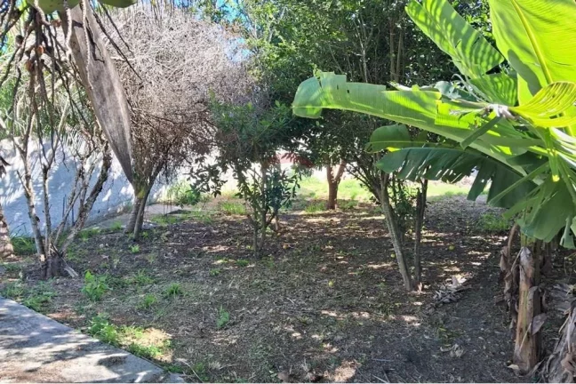 Imagem Terreno documentado em Jacaroá