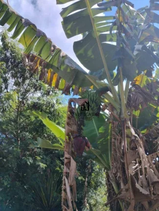 Imagem Chácara com 3 dormitórios à venda, 750 m² por R$ 650.000,00 - Ipanema do Meio - Sorocaba/SP