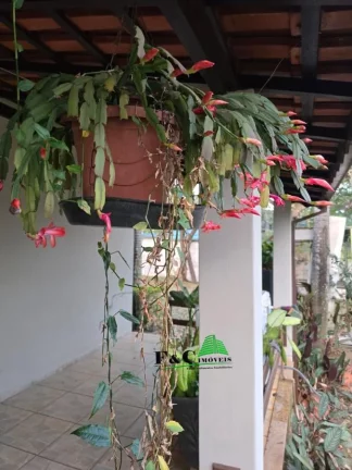 Imagem Casa para Venda em Leme, Jardim Santana, 6 dormitórios, 2 suítes, 4 banheiros, 4 vagas