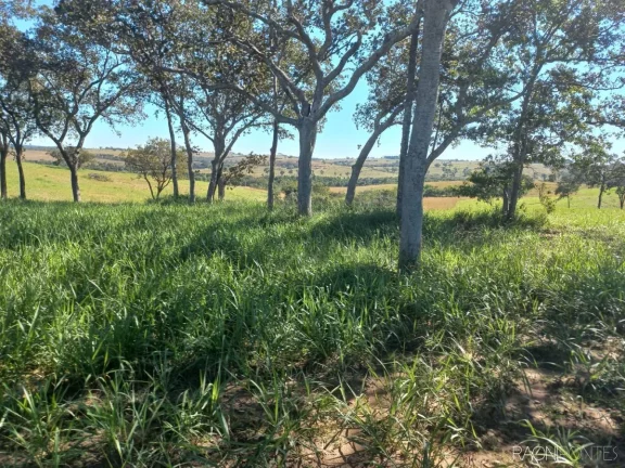 Imagem Fazenda à Venda, 10.000.000 m² em Zona Rural - Camapuã