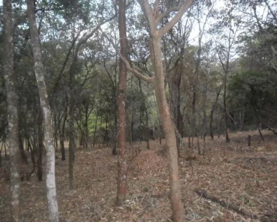 Imagem Oportunidade! área de 6.000 m² .