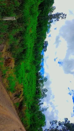 Imagem Chácaras para Camping Lazer em Condomínio Linha Tiradentes Pinhalzinho SC