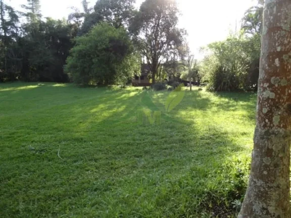 Imagem Sítio Sereno em Piracaia 35 Mil m² de Pura Natureza com Riacho e Cachoeira